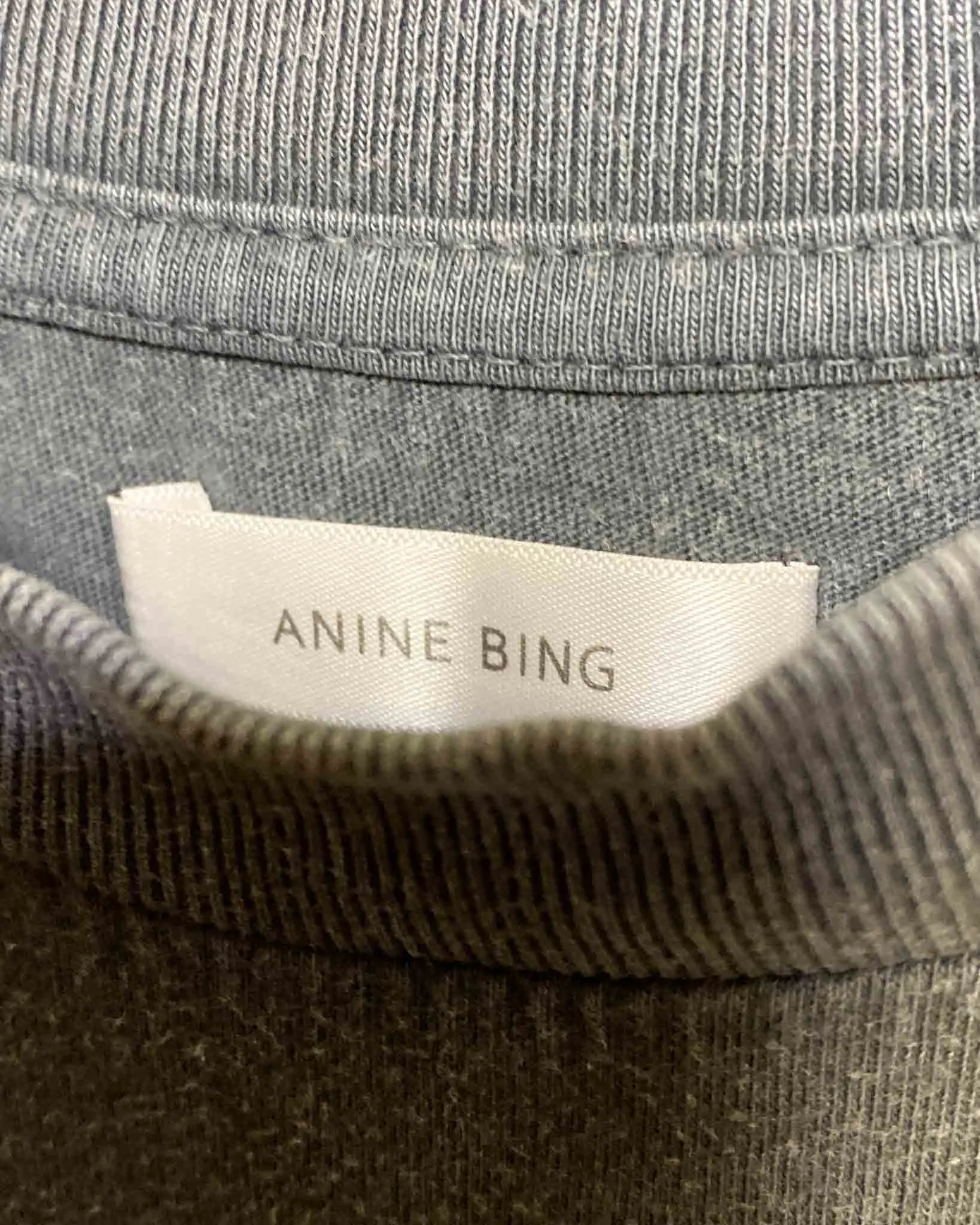 Size XS | Anine Bing Wild Cat T-shirt